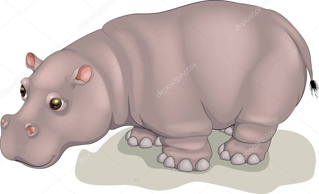 Vector illustration hippopotamus