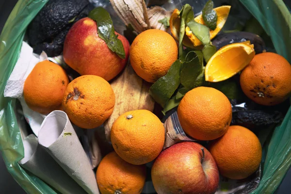 Spoiled food in refuse bin. Spoiled oranges and apples close up. Ecological issues. Garbage. Food waste problem, leftovers thrown into into the trash can. Concept of food waste reduction. From above.