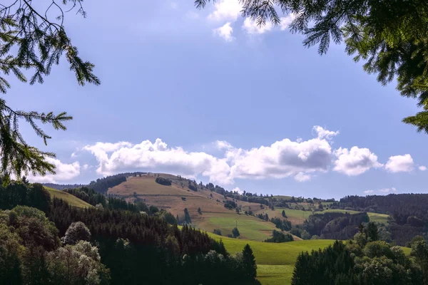 Schwarzwald Mountains Landscape Summer Day Idyllic Hill Meadows Blue Sky — Stock Photo, Image