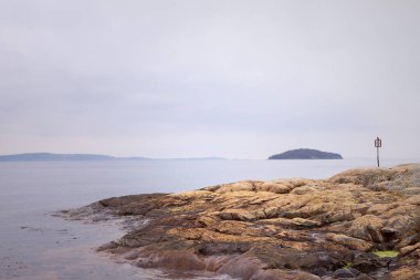 Oslo Fiord 'dan güzel manzaralı bir manzara. Kumsalda turuncu kaya oluşumları, uzak ada, sakin su, kutuptaki karabatak silueti. Nesodden Yarımadası, Norveç.