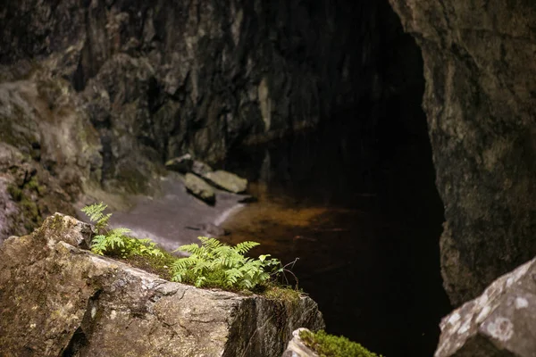 Underground landscape. Dark underground lake surrounded by rocks. Darkness in cave corridor and light falling on overgrown stone. Speleology background.