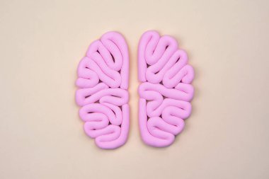Parlak arka planda, insan beyninin pembe modeli yatıyordu. İstihbarat konsepti. Hemispheres modelleme, düzen.