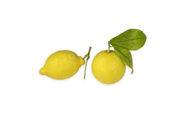 Dos Limones Con Ramitas Hoja Verde Aislados Sobre Fondo Blanco — Foto de Stock