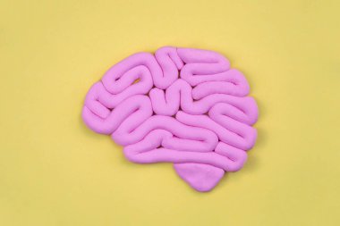 Sarı arka planda pembe insan beyni modeli. Profil görünümü, düz yatış. Zeka kavramı. 