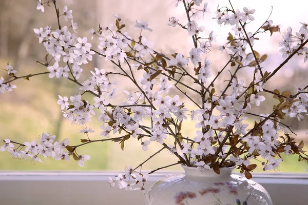 Fehér Virágos Gallyak Vázában Ablaknál Tavasz Otthon Koncepció Gyümölcsfa Ágak — Stock Fotó