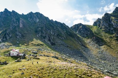 Çobanlar dağda koyun topluyor, arka planda dağ ve yukarıda kabarık bulutlar var.