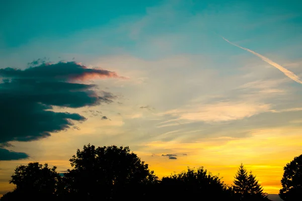 Ciel Jaune Coucher Soleil Dessus Des Arbres — Photo