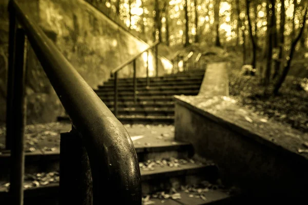 Retro Nahaufnahme Des Treppengeländers Park Mit Bäumen Hintergrund — Stockfoto
