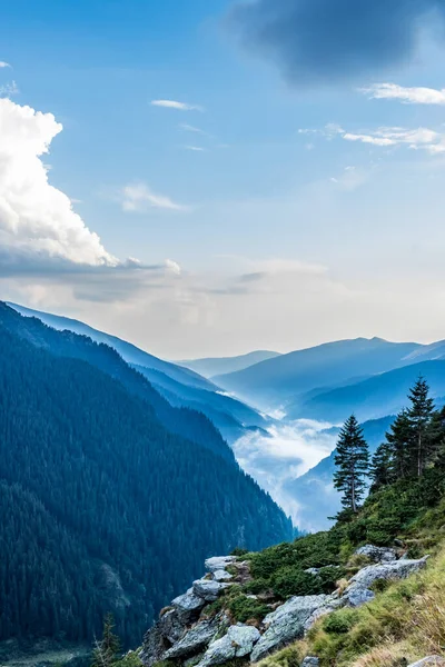 Horská Skála Stromy Popředí Mlhavým Lesem Pokryté Hory Pozadí Nadýchané — Stock fotografie