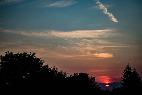 Enorme Puesta Sol Fondo Con Árboles Primer Plano — Foto de Stock