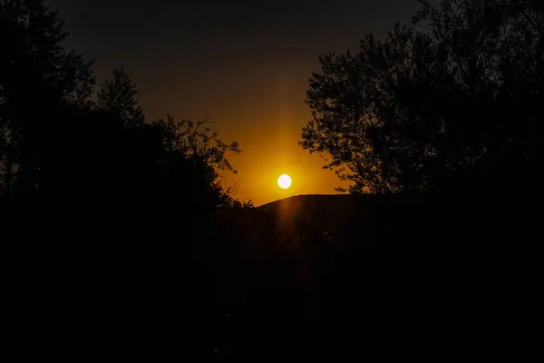 前の木のある丘から昇る太陽 — ストック写真