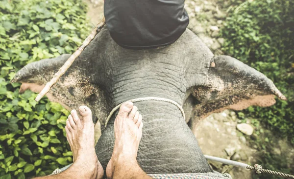 Weergave van menselijke barefoot paardrijden dier op olifant trekking excursie - top reizen en wanderlust concept met avontuurlijke man op Thailand reis en Azië bestemmingen - Desaturated contrast filter — Stockfoto