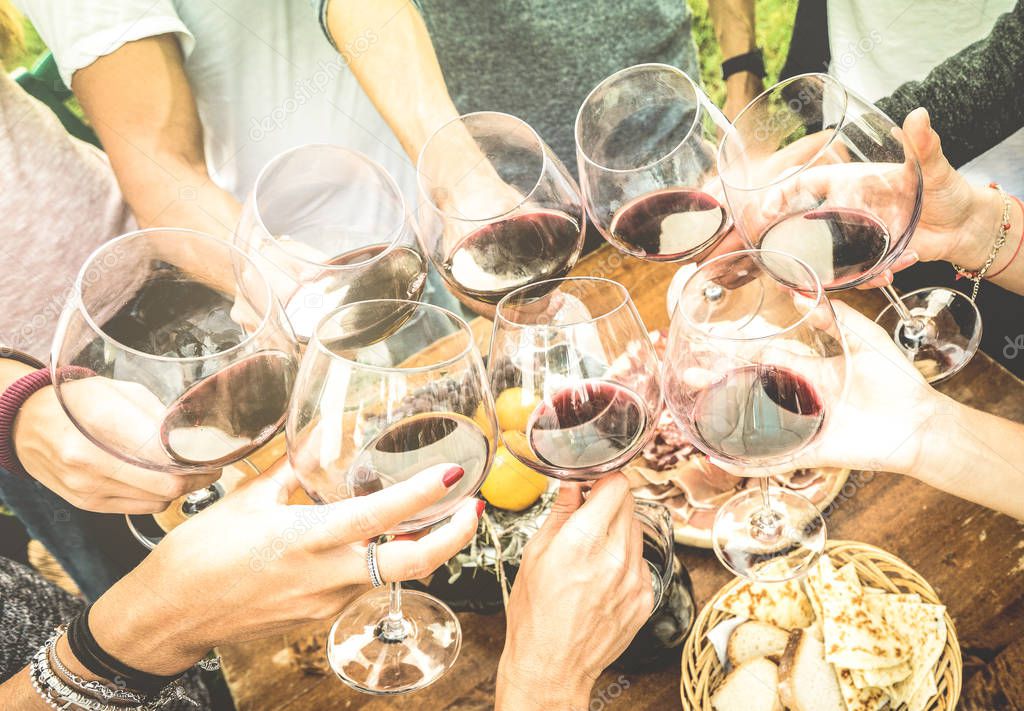 Friends hands toasting red wine glass and having fun outdoors cheering with winetasting - Young people enjoying harvest time together at farmhouse vineyard countryside - Youth and friendship concept