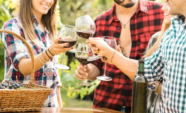 Jóvenes amigos divirtiéndose al aire libre tintineando copas de vino tinto - Gente feliz comiendo uva y bebiendo en el momento de la cosecha en la bodega de viñedos de granja - Concepto de amistad juvenil con poca profundidad de campo —  Fotos de Stock