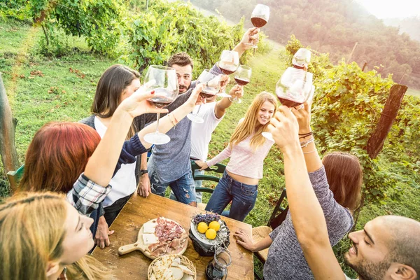 アウトドアの楽しみを持つ若い友人飲み赤ワイングラス - 農家のぶどう畑のワイナリーで収穫時に季節の地元料理を食べて幸せな人々 - 青春友情概念暖かいビンテージ フィルター — ストック写真