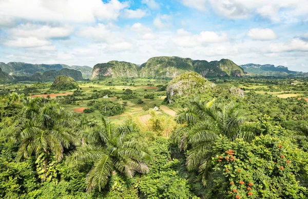 Panoramic postcard view of luxuriant vegetation in the famous valley of Vinales in west side of Cuba - Travel exploration concept with unesco world heritage site in caribbean latin america — Stock Photo, Image