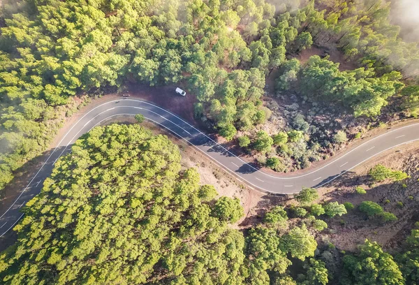 Luftaufnahme der Straße im Wald mit Bäumen am Teide-Naturpark auf Teneriffa - Wanderreisen und neue Trends Fotografiekonzept mit Vogelperspektive Bild des Waldes Naturlandschaft - sonniger Tagesfilter — Stockfoto
