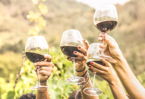 Manos tostadas copa de vino tinto y amigos que se divierten animando en la experiencia de cata de vinos - Jóvenes disfrutando de tiempo de cosecha juntos en el campo viñedo granja - Concepto de juventud y amistad —  Fotos de Stock