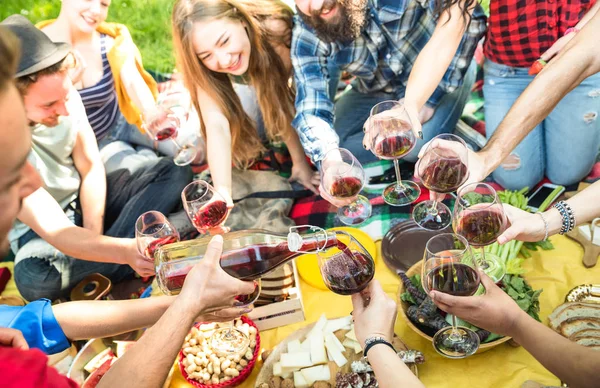 Vue latérale d'amis servant et grillant des verres à vin rouge - Millennials s'amuser à pique-niquer dégustation de vin - Jeunes profitant de l'été au barbecue déjeuner garden party - concept d'amitié des jeunes — Photo