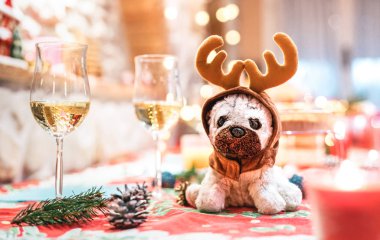 Stuffed dog toy wearing reindeer ears sitting upon table near champagne glasses on Christmas holidays background - Winter festivity and fun concept with plushie animal puppet on xmas decoration clipart