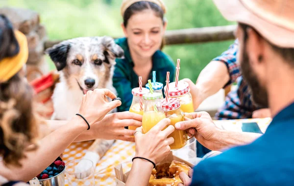 Happy Friends Toasting Gezonde Sinaasappelsap Het Platteland Picknick Vriendschap Concept — Stockfoto