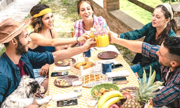 Happy Friends Toasting Gezonde Vruchtensap Het Platteland Picknick Jonge Familie — Stockfoto