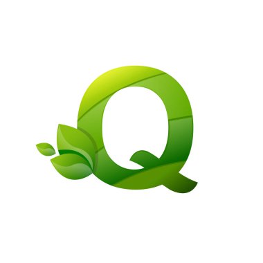 Q harfi yaprak doğa logo vektörü