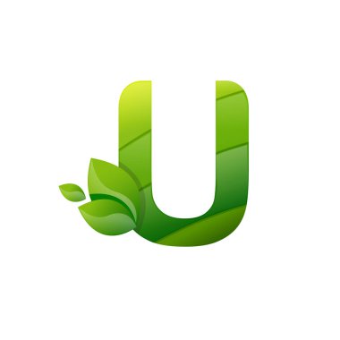 U yaprağı doğa logo vektörü