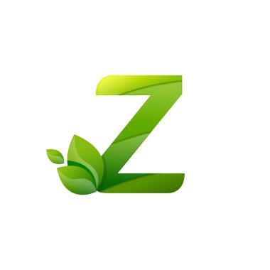 Z harfi yaprak doğa logo vektörü