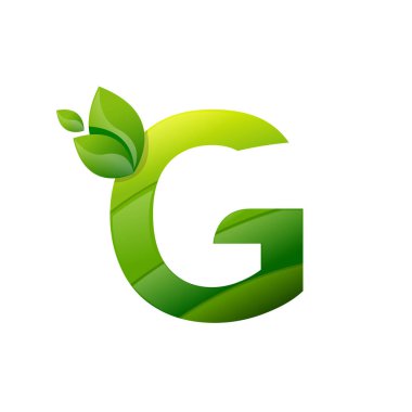 Z harfi yaprak doğa logo vektörü