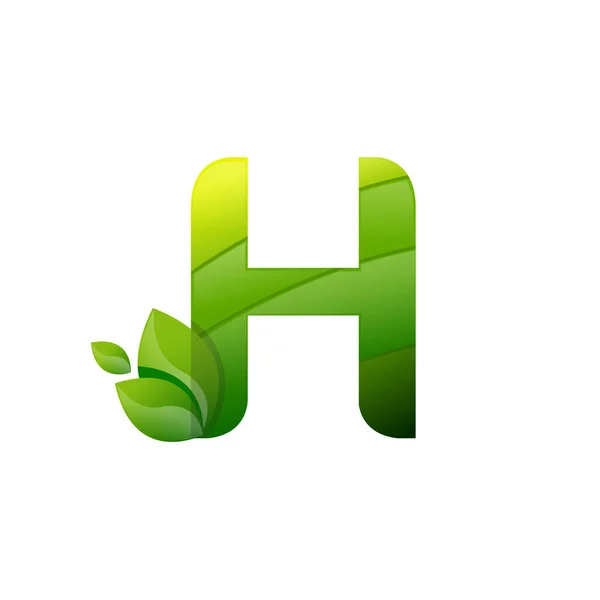 Lettre Feuille Nature Logo Icône Vecteur — Image vectorielle