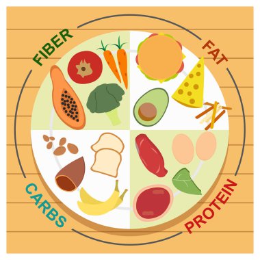 Sağlıklı beslenme tabağı diyet vektörü çizimi