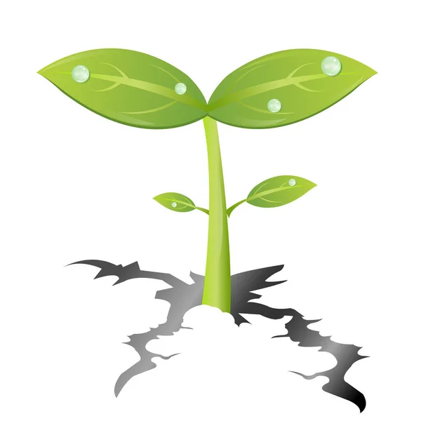 Ilustração Vetorial Planta Verde — Vetor de Stock