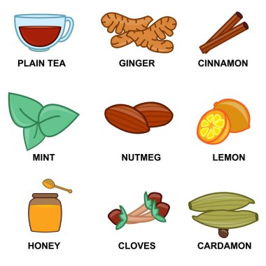 Bitki ve tohum vektör çizimi tasarımı