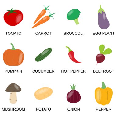 Sebze vektör çizimi koleksiyonu