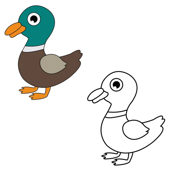 Libro Para Colorear Duckling Vector Ilustración Diseño — Vector de stock