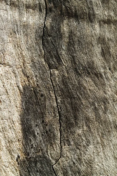 Wood Grain Texture Background — Stock Photo, Image