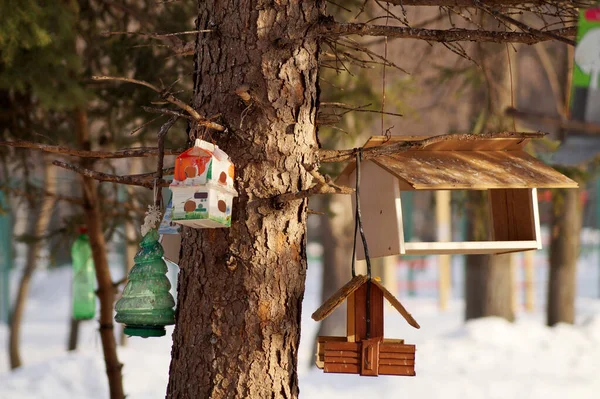 木の鳥の餌やり. — ストック写真