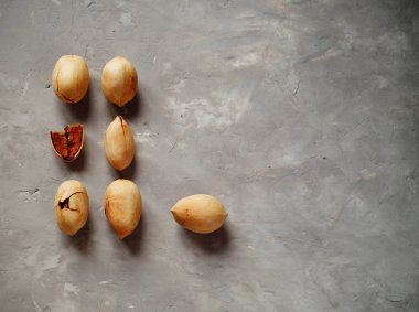 Fındık kabuğu çatlaklar ve geometrik sırayla fındık parçası gri arka plan, üst görünüm, boşluk kopyala