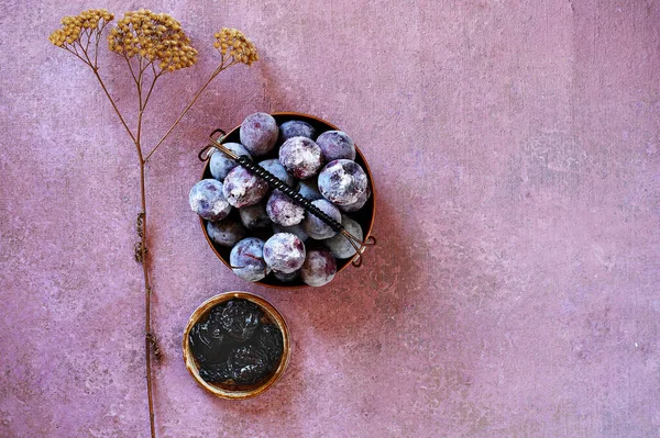 Ameixa congelada e seca com flores secas em campo . — Fotografia de Stock