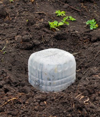 Plastik kutulardan yapılmış mini sera..