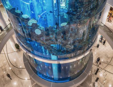 Moskova. 5 Kasım 2016. 