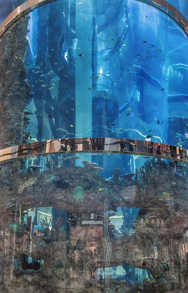 Moskau. 5. November 2016. Einkaufszentrum "Ozeanien". großes zylindrisches Aquarium mit beweglichem Aufzug im Inneren. — Stockfoto