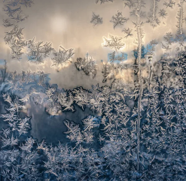 Mrozem malowane zimowego krajobrazu na szkło mrożone — Zdjęcie stockowe