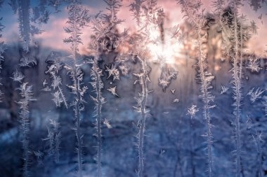 Batan güneşin ışınları pencere camının Frost desenleri