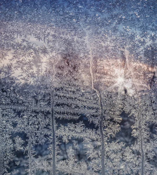 Wzorce lodu na szybie okna o świcie — Zdjęcie stockowe