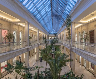 Moskova. Salon bitkisi City Mall alışveriş merkezinde palmiye ağaçları ile lüks iç.