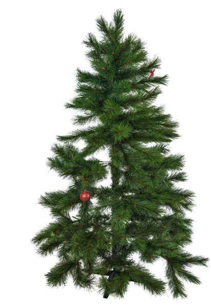 A christmas tree without toys, after the holidays. White isolated background. — Stock Photo, Image