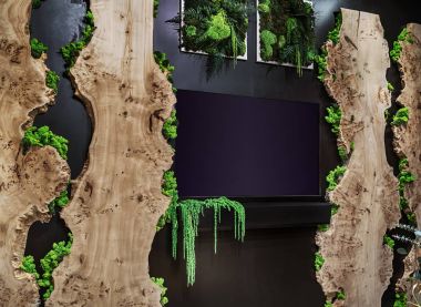 Natural stabilized moss and wood in a modern, eco-friendly interior design clipart