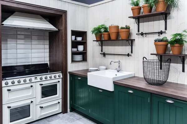 Diseño de cocina en estilo escandinavo. Muebles cómodos y funcionales, formas simples y un gran número de macetas de arcilla con cactus, paportnikami y suculentas . — Foto de Stock